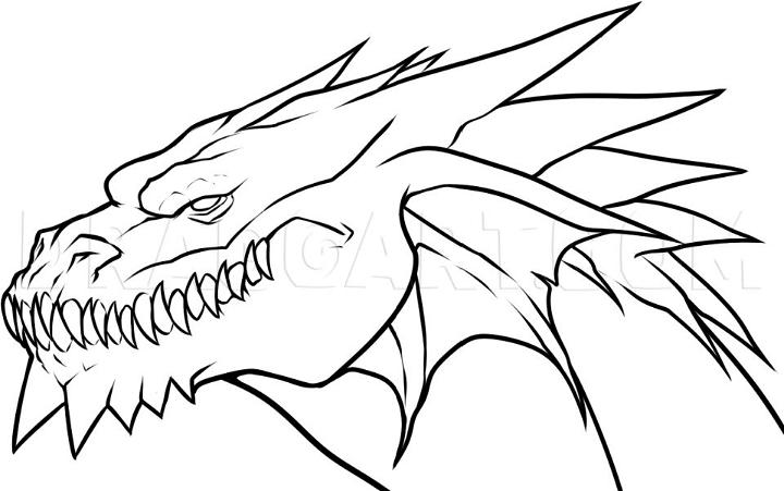 Draw Your Own Dragon Head