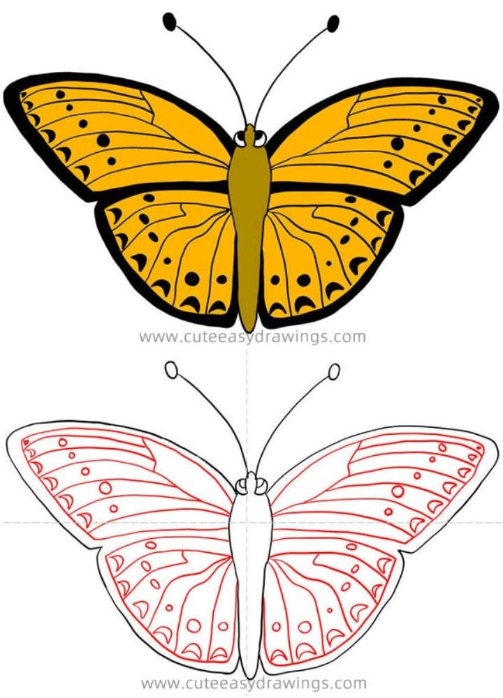 Draw a Butterfly for Elementary Students