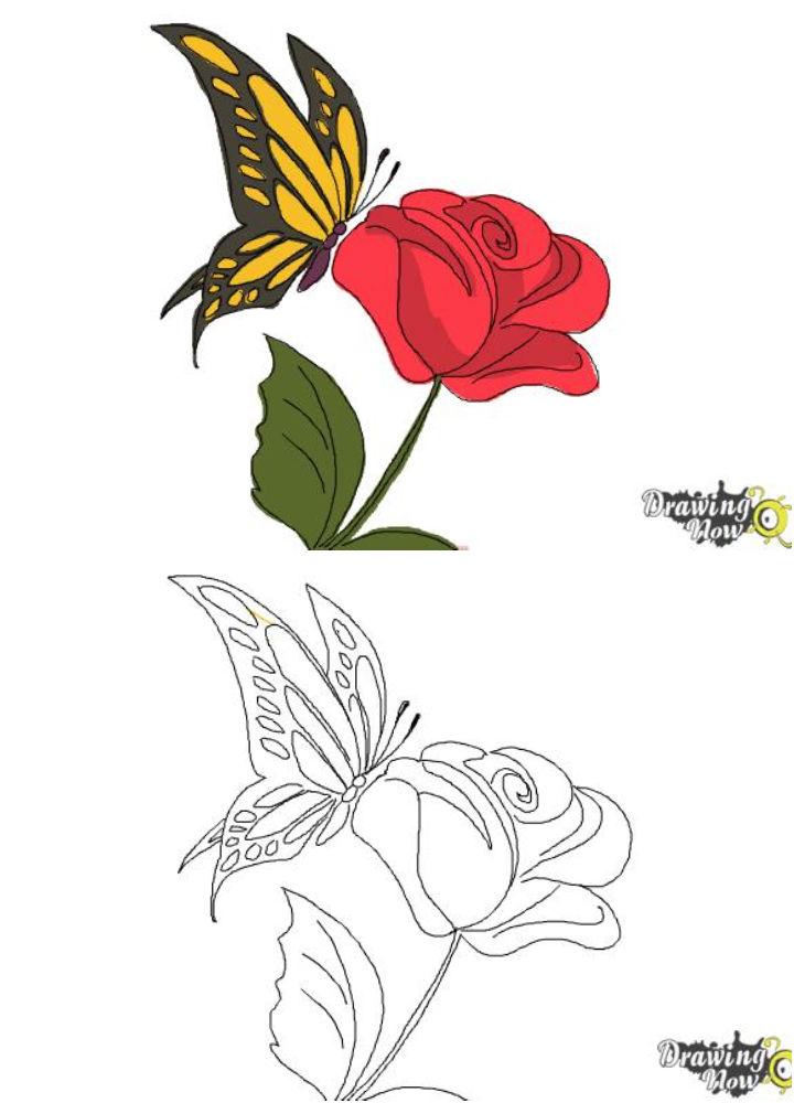 Draw a Butterfly on a Flower