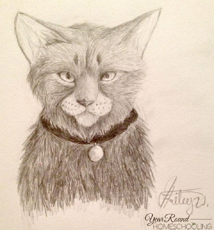 Draw a Cat with Graphite Pencils