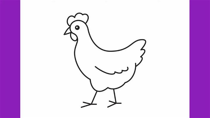 Draw a Chicken Step by Step