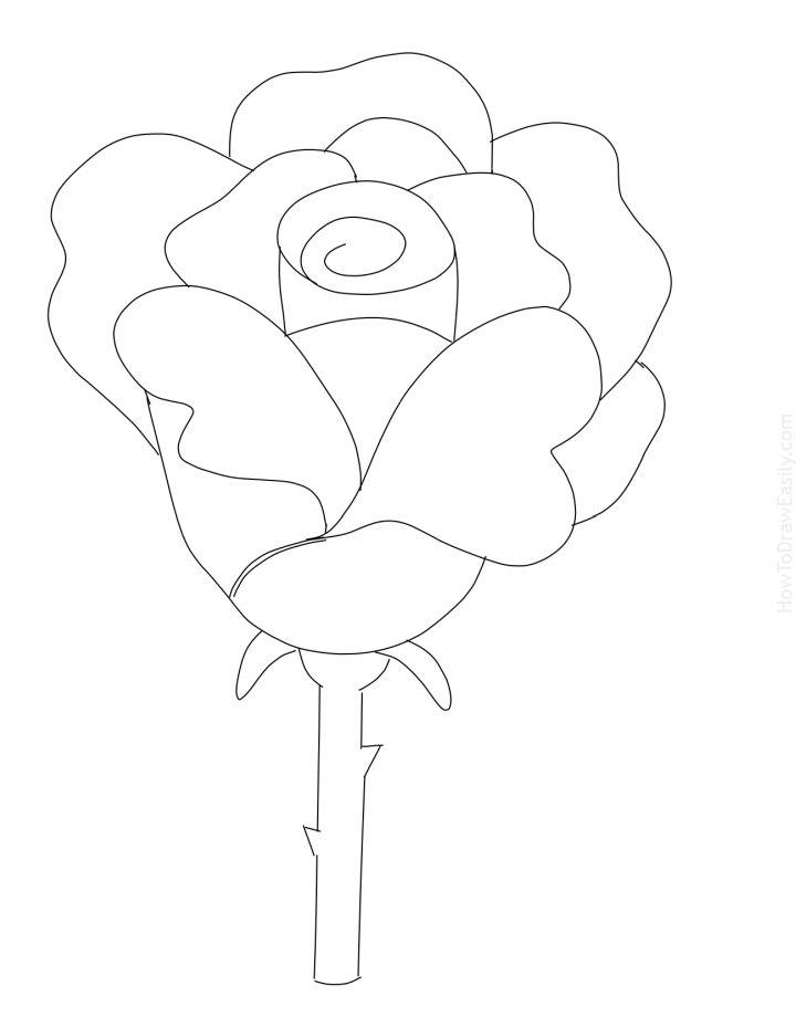 Draw a Flower in Simple Way