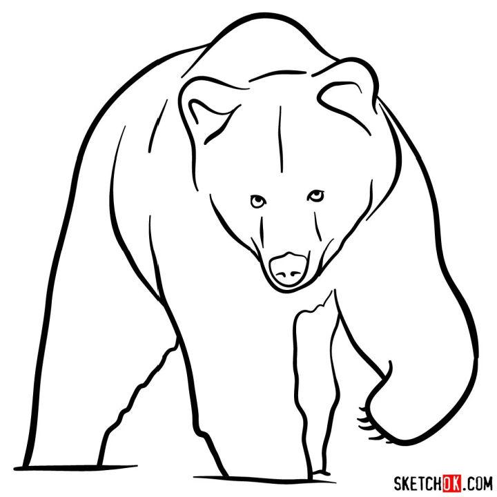 simple black bear drawing