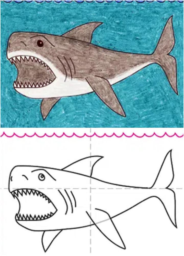 Draw a Megalodon Shark