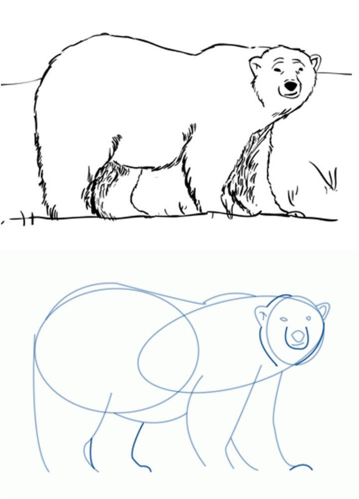 Draw a Polar Bear