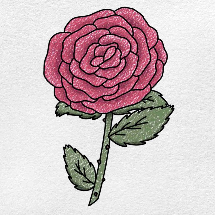 Draw a Rose in 6 Easy Steps 1