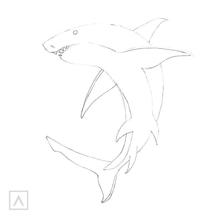 Draw a Shark in 6 Steps