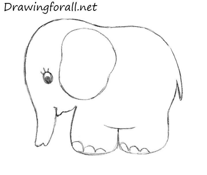 Draw an Elephant for Kids