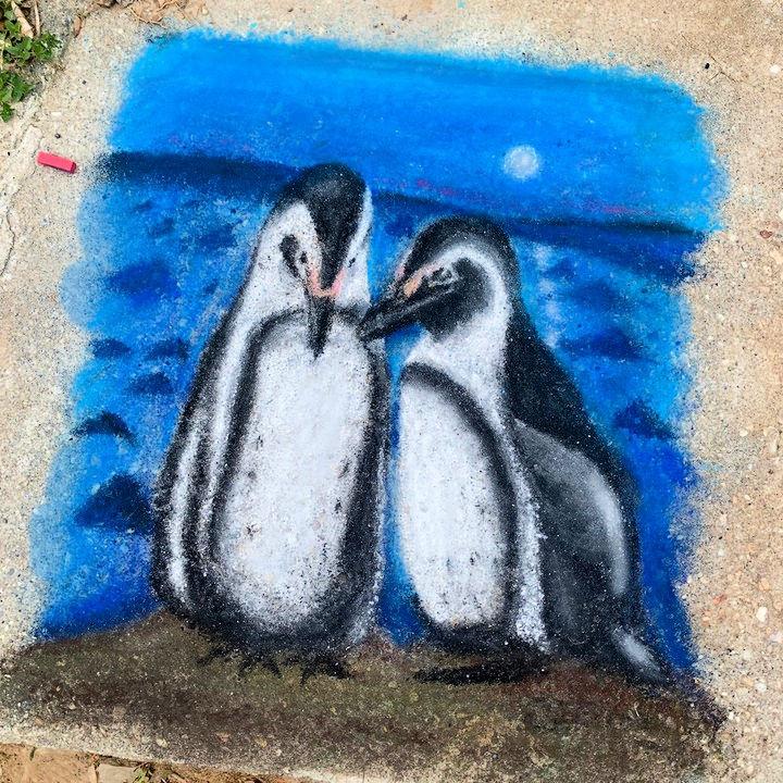 Drawing Penguins With Chalk