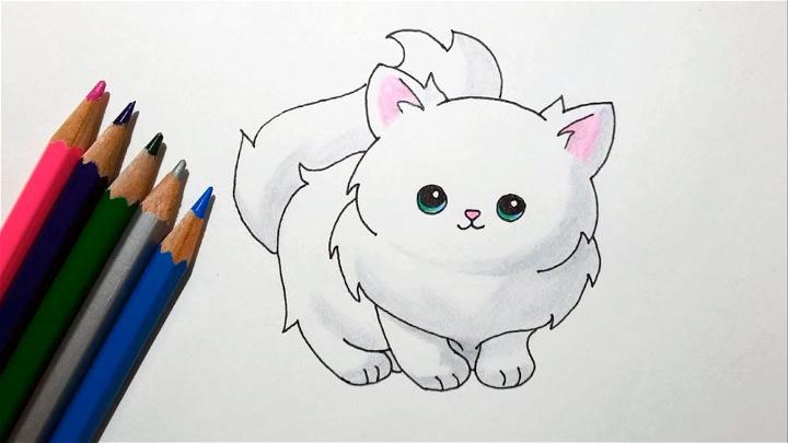 Drawing a Fluffy Kitten Cat