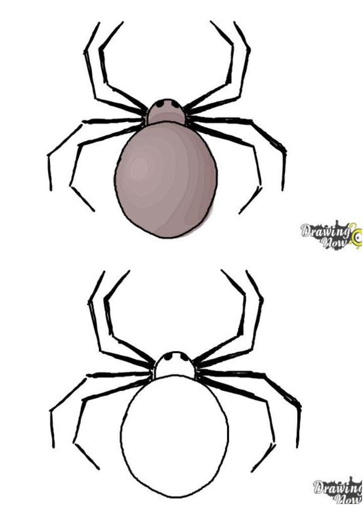 Easiest Way to Draw Spider