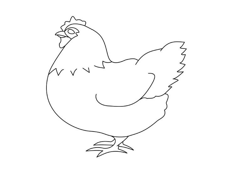 Easiest Way to Draw a Chicken