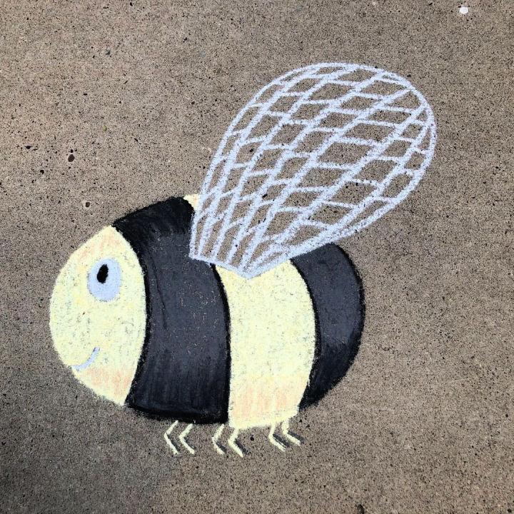 Easy Beginner Bee Chalk Art