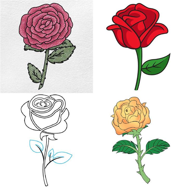 25 Beautiful Rose Drawings and Paintings for your inspiration | Roses  drawing, Color pencil drawing, Flower drawing