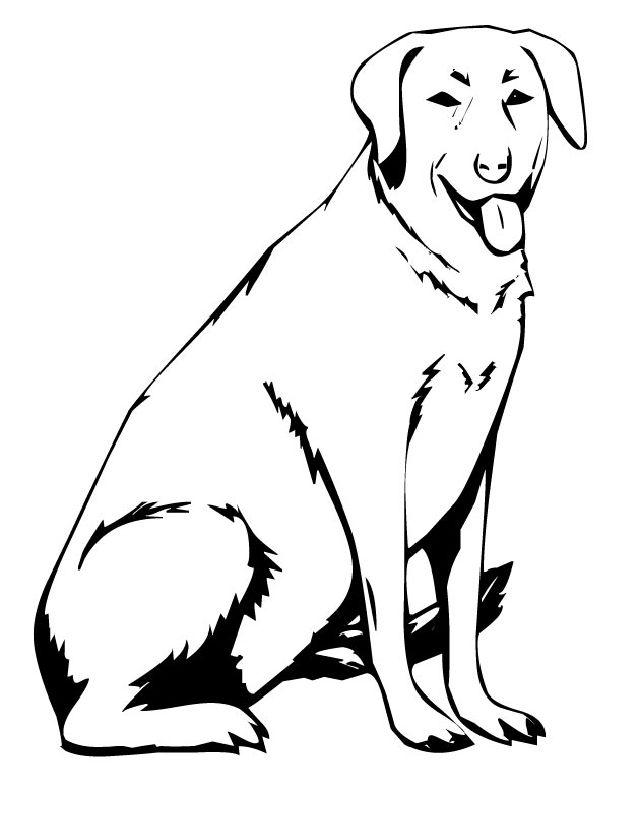 Easy Labrador Dog Coloring Page