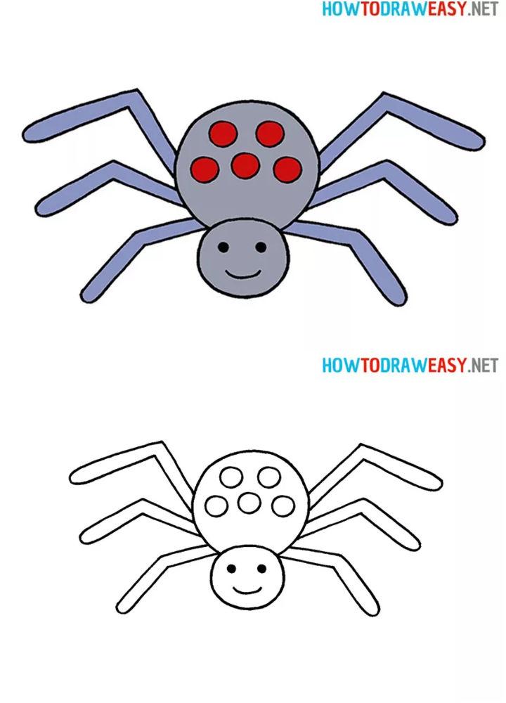 Easy Spider Drawing for Kids