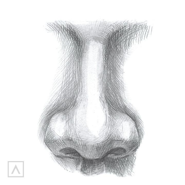 Easy Way to Draw Nose