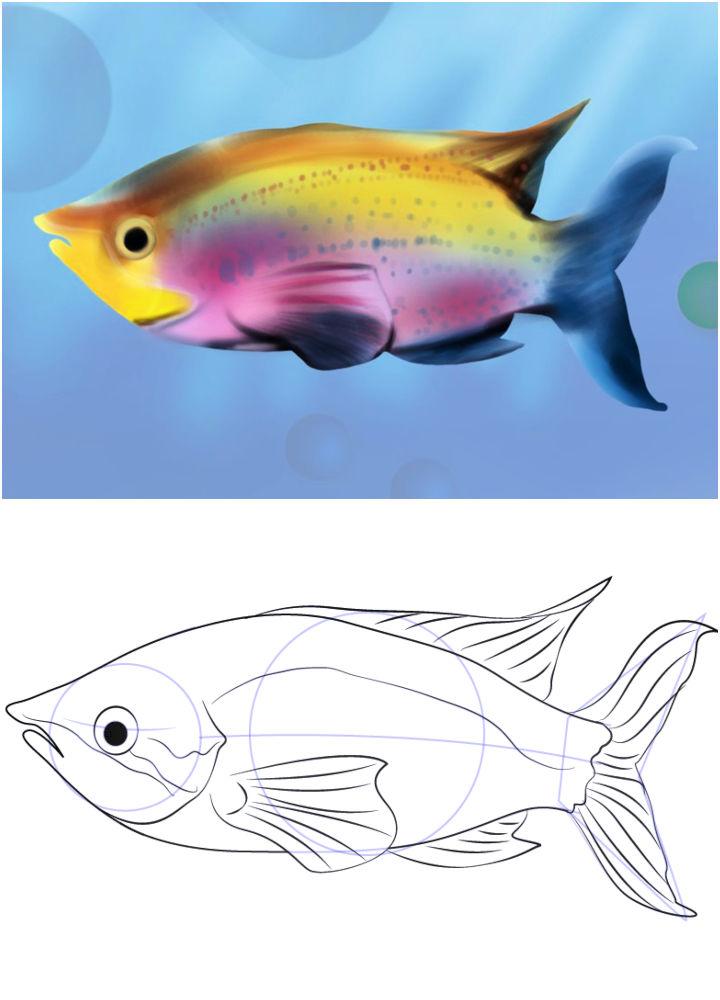 Easy Way to Draw Rainbow Fish