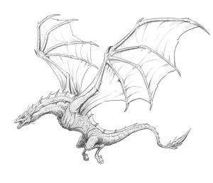 30 Easy Dragon Drawing Ideas - How To Draw A Dragon - Blitsy