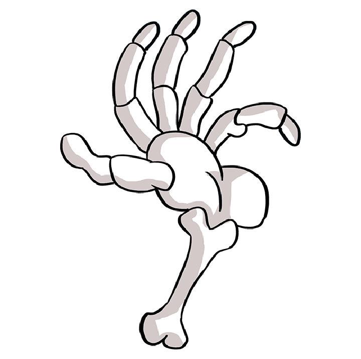 Easy Way to Draw a Skeleton Hand