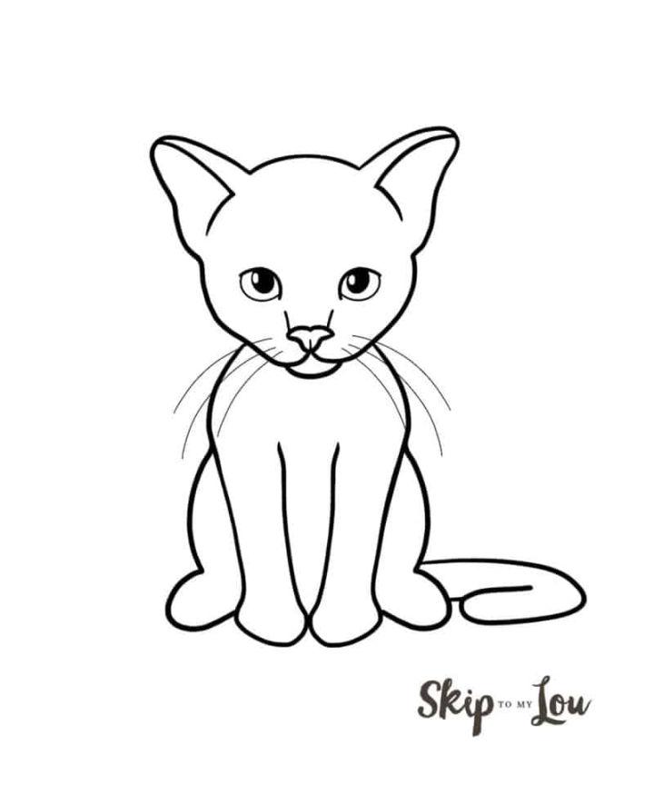 Easy to Drawing Cat