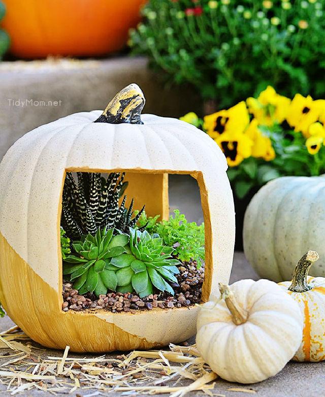 Elegant Succulent Pumpkin Planter