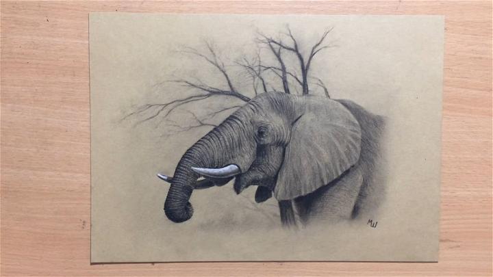 Elephant Drawing in Black and White Charcoal