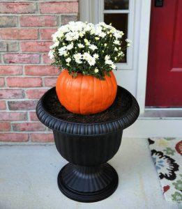 25 Simple Ways to Make a Pumpkin Planter - Blitsy