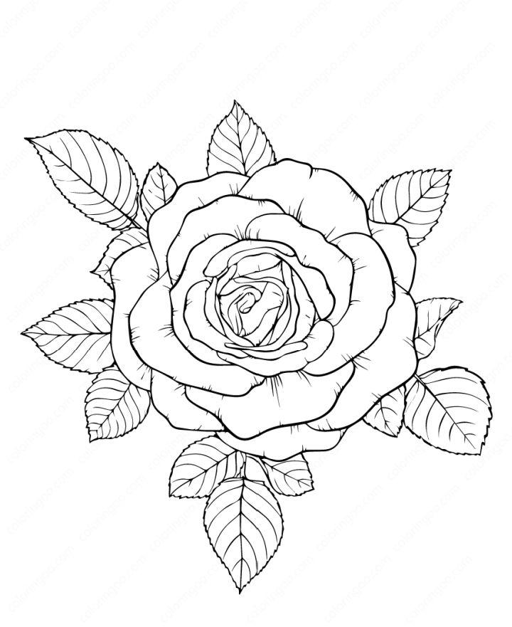 Flower Coloring Pages For All Ages