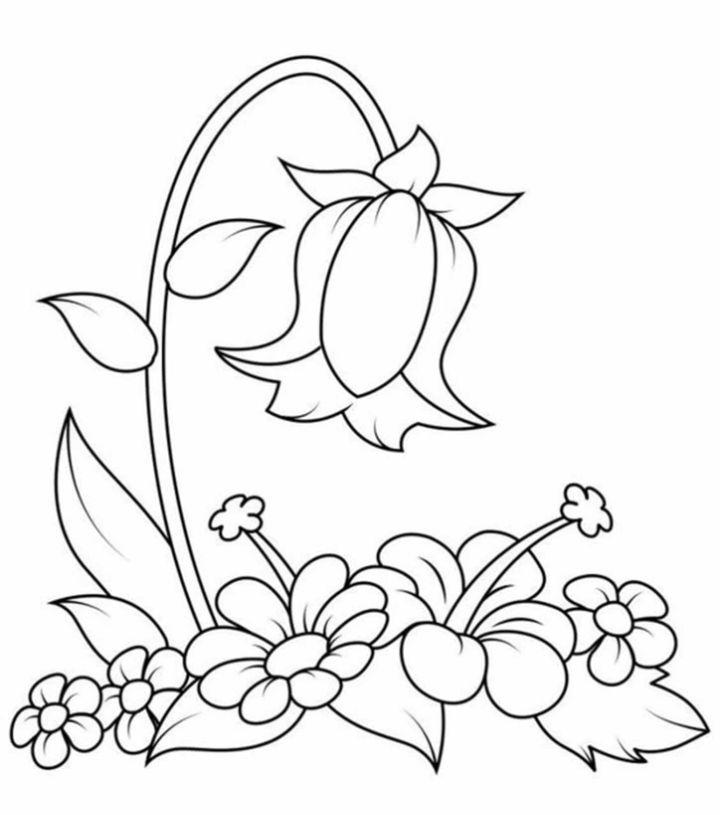 Free And Easy Flower Coloring Pages