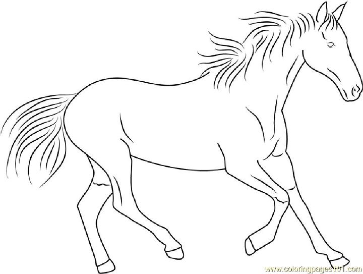 Free Horse Running Coloring Page