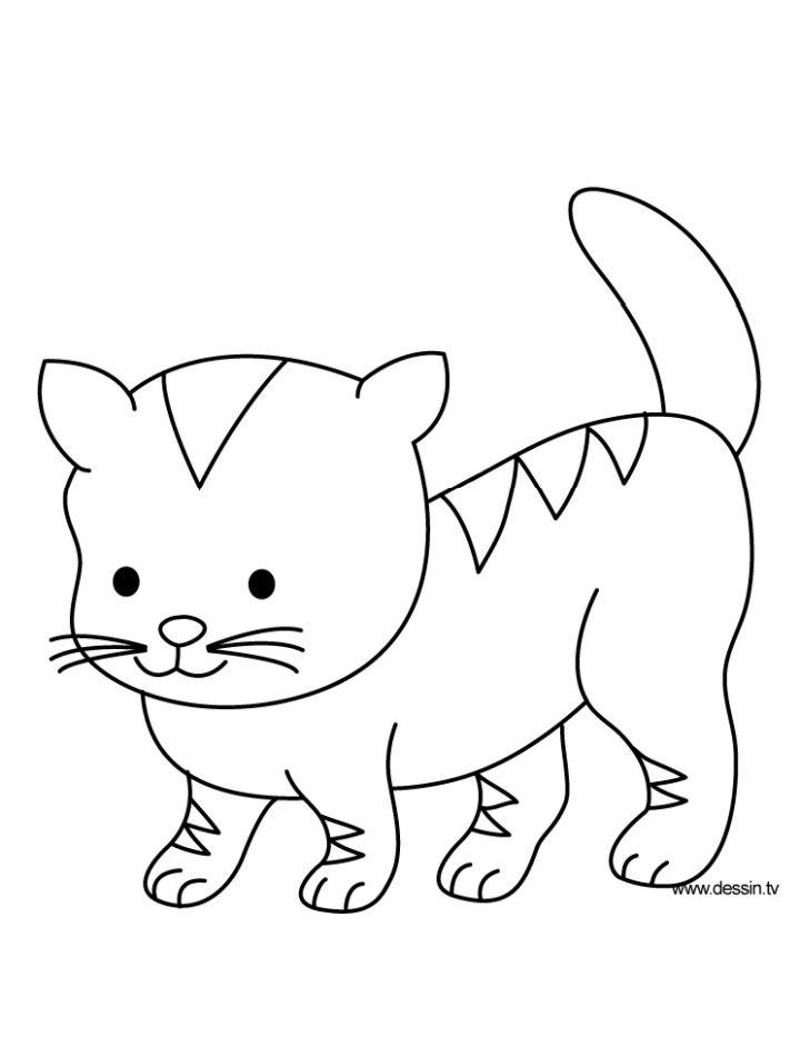 Free Printable Baby Cat Coloring Pages