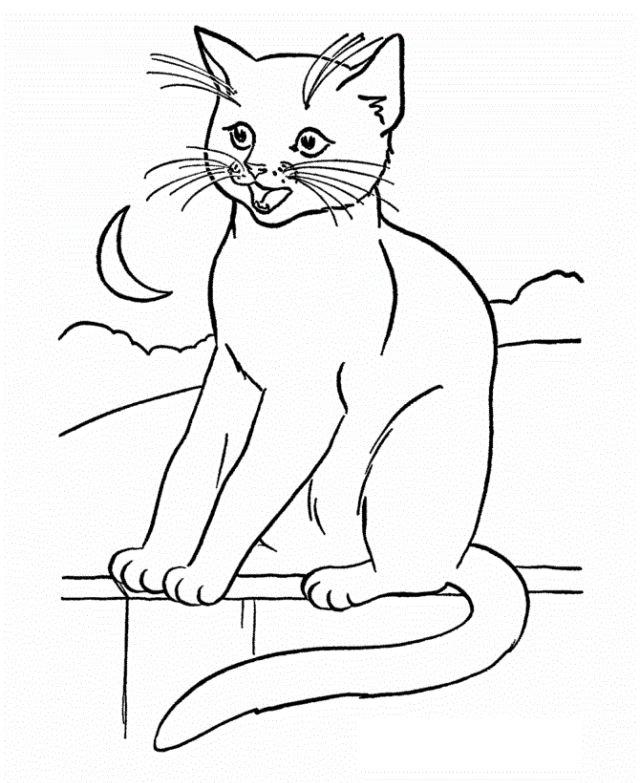 Free Printable Cat Coloring Pages