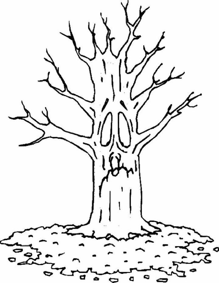 Free Printable Fall Trees Coloring Pages
