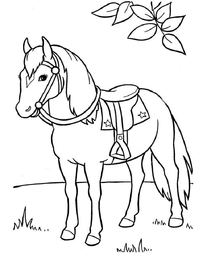 Free Printable Wild Horses Coloring Pages