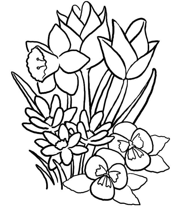 25 Free Flower Coloring Pages for Kids and Adults