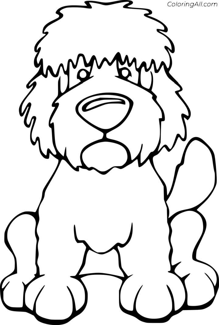 Fun Goldendoodle Coloring Pages