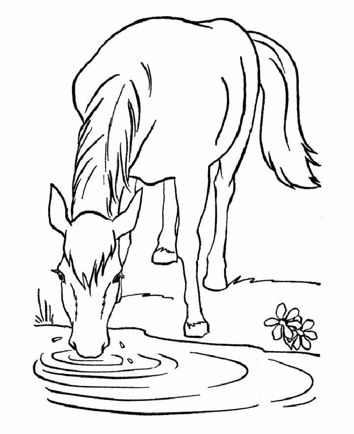 Fun Horse Coloring Pages for Kids
