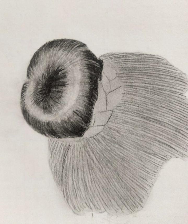 Hair Bun Drawing