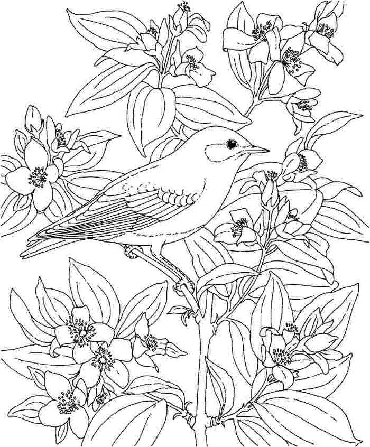 tropical flower printable coloring pages