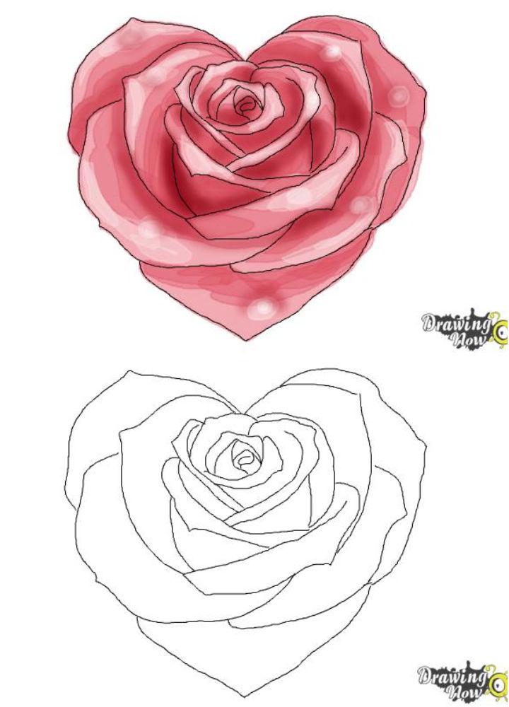 Heart Rose Drawing for Beginners 1