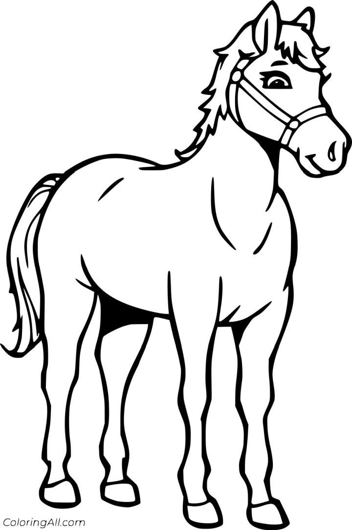 Horse Coloring Pages To Print