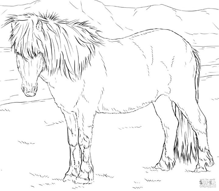 Horses Coloring Pages for Kids