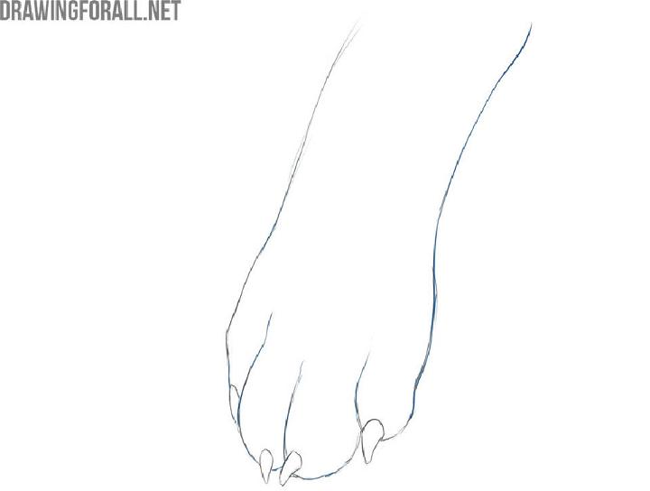 How To Draw A Dog Paw