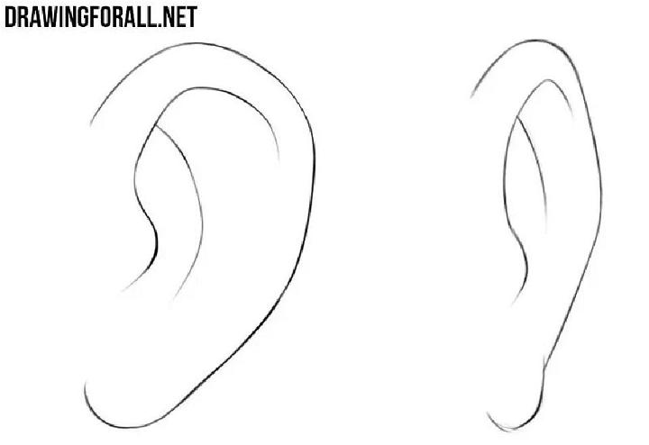 How to Draw Anime Ears