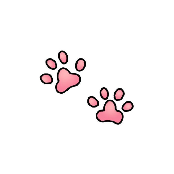 How to Draw Cat Paws