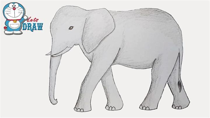 How to Draw Elephant Step by Step Instructions