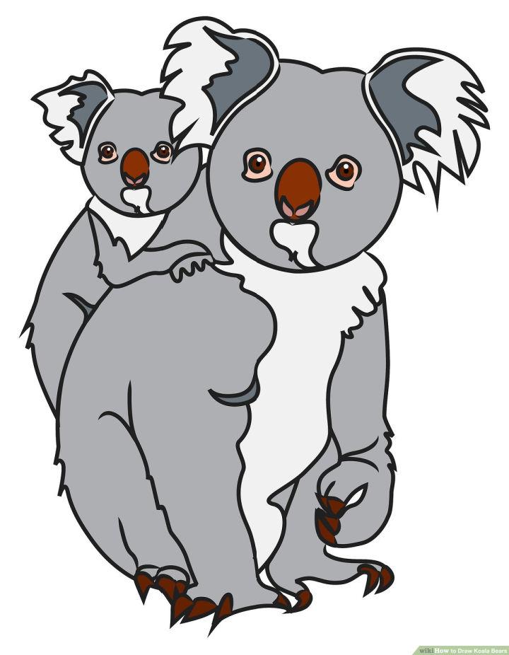 How to Draw Koala Bears