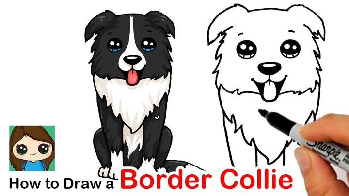 How to Draw a Border Collie Puppy Dog