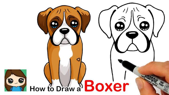 How to Draw a Boxer Puppy Dog